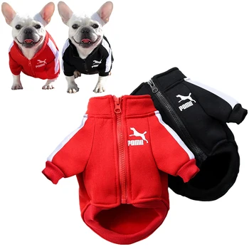 Бейсбольная куртка для собак, зимняя одежда для собак для маленьких средних собак, жилет для щенков, толстовка для французского бульдога, костюм для чихуахуа, пальто для мопса