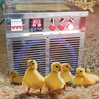 Новый почтовый обогреватель для тепличного животноводства, контроль температуры, оборудование для изоляции цыплят, электрический обогреватель.